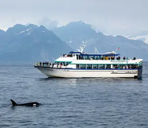 Kenai Fjords National Park Tour