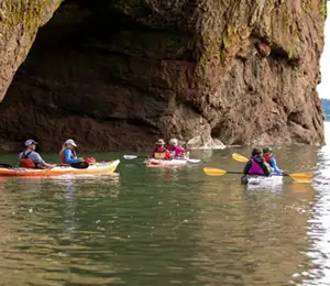Bay of Fundy Sea Cave Kayak Tour