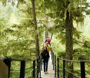 Tree Trek - Baumwipfelpfad