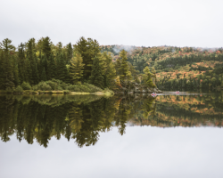 Teaserbild Algonquin Nationalpark