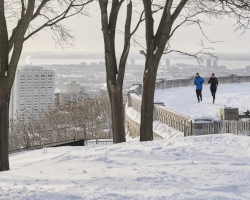 Teaserbild Montreal